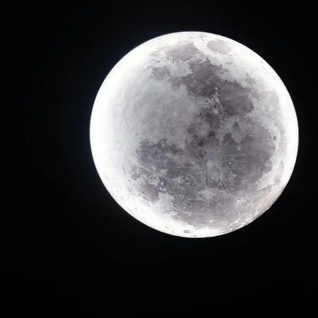 Coeur De Vie « la Bulle »